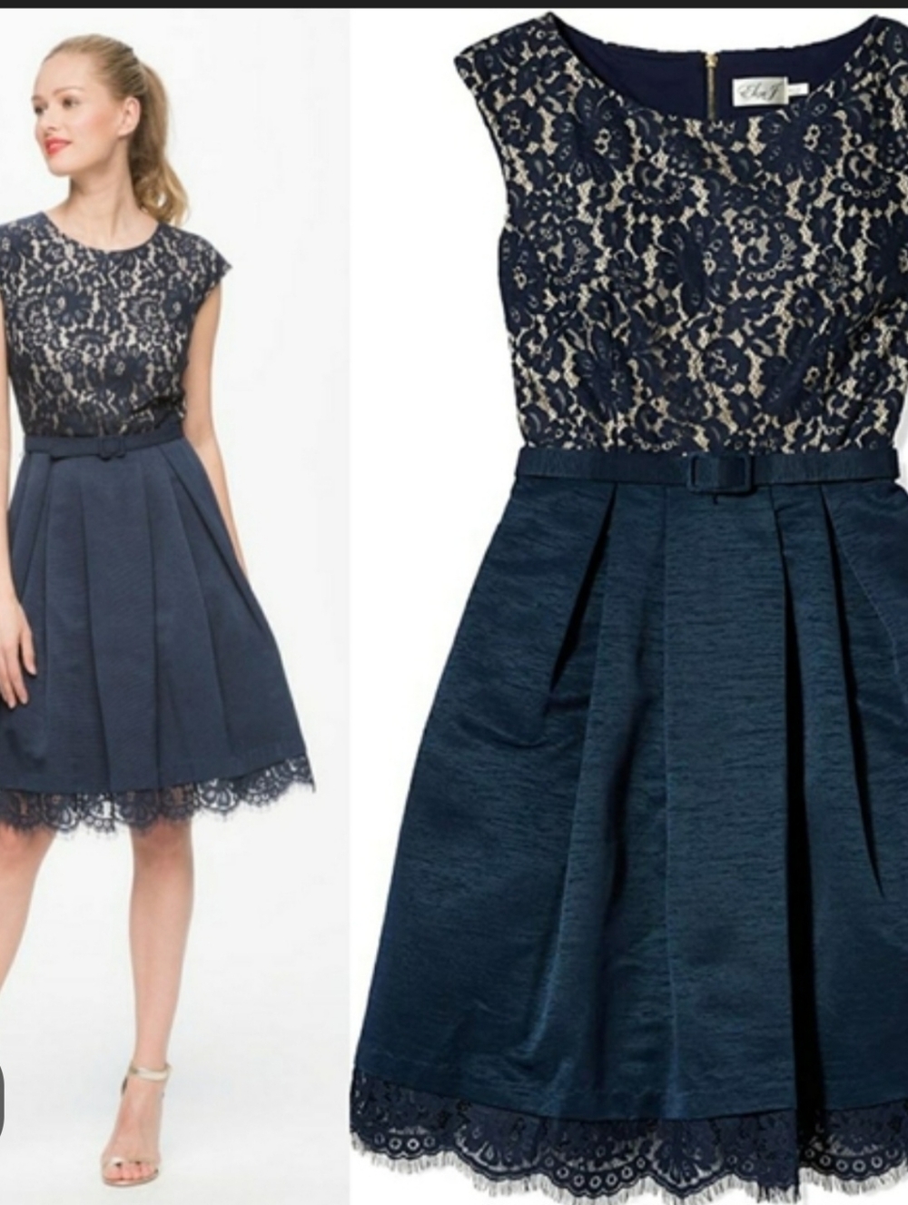 Eliza J Navy Blue Lace Fit-and-Flare Dress